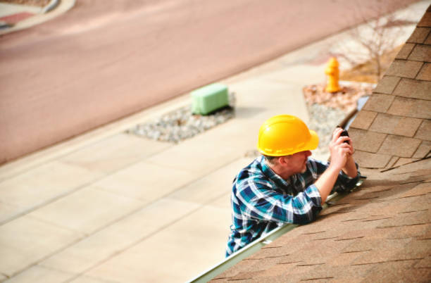 Best Roof Gutter Cleaning  in Waynesboro, VA