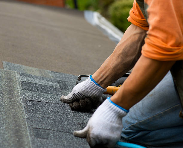 Best Storm Damage Roof Repair  in Waynesboro, VA